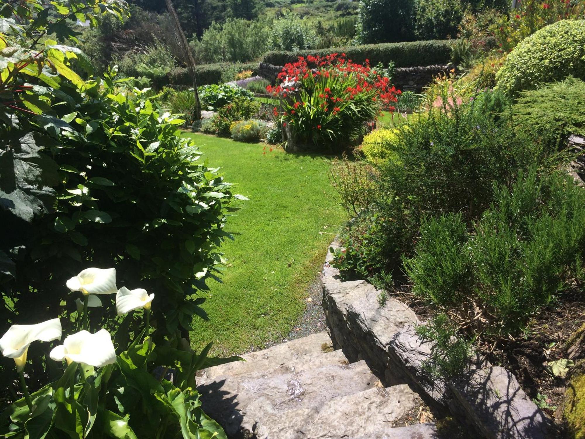 Unique Old Stone Cottage Killarney Extérieur photo